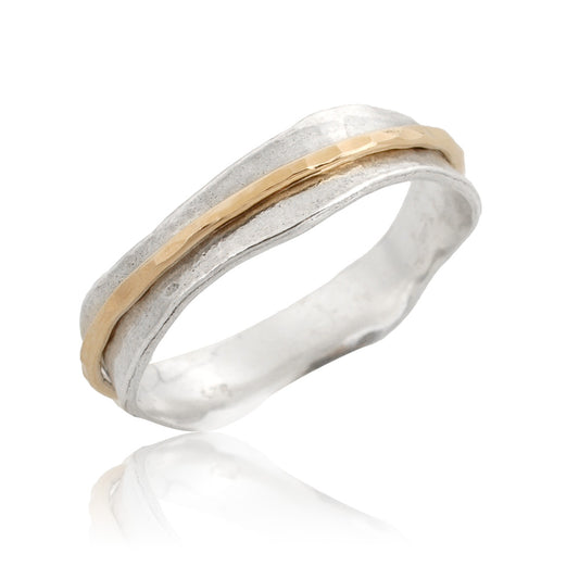 Silver and Gold Filled Spinning Ring