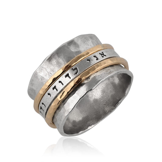 Silver and Gold Filled Spinning Ring